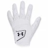 Underarmour Under Armour Spieth Tour Golf Glove